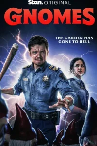 Gnomes Poster